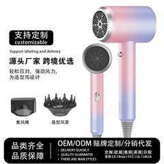 アマゾンクロスボーダー高回転ヘアドライヤーハイパワー家庭用ヘアサロンドライヤーブルーイオン保護ヘアドライヤードライヤー