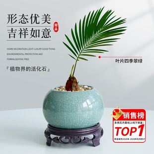 �F��U������С���Բ����U��[���辰�k���҃ȾGֲ��͏d�����K�F