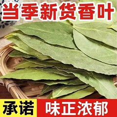 新鮮な初摘み香葉、広西本場産、天然無硫黄香葉調味料、香辛料、煮込み用、送料無料