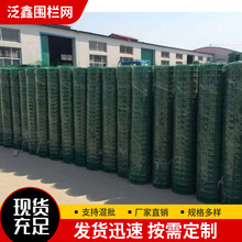 供应防锈铁丝网玉米网 围栏养殖网防护网护栏栅栏圈牛羊果园用网