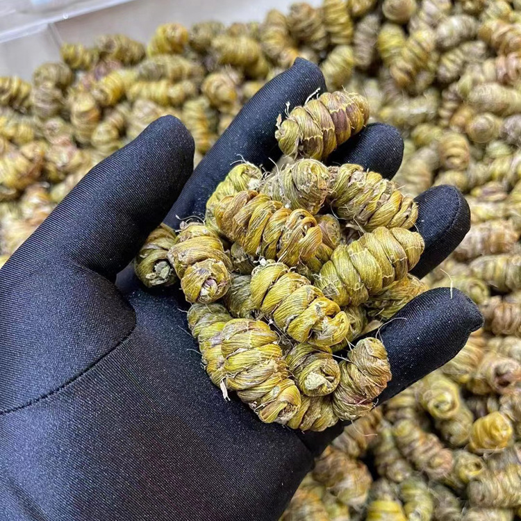 微信图片_20230420162152