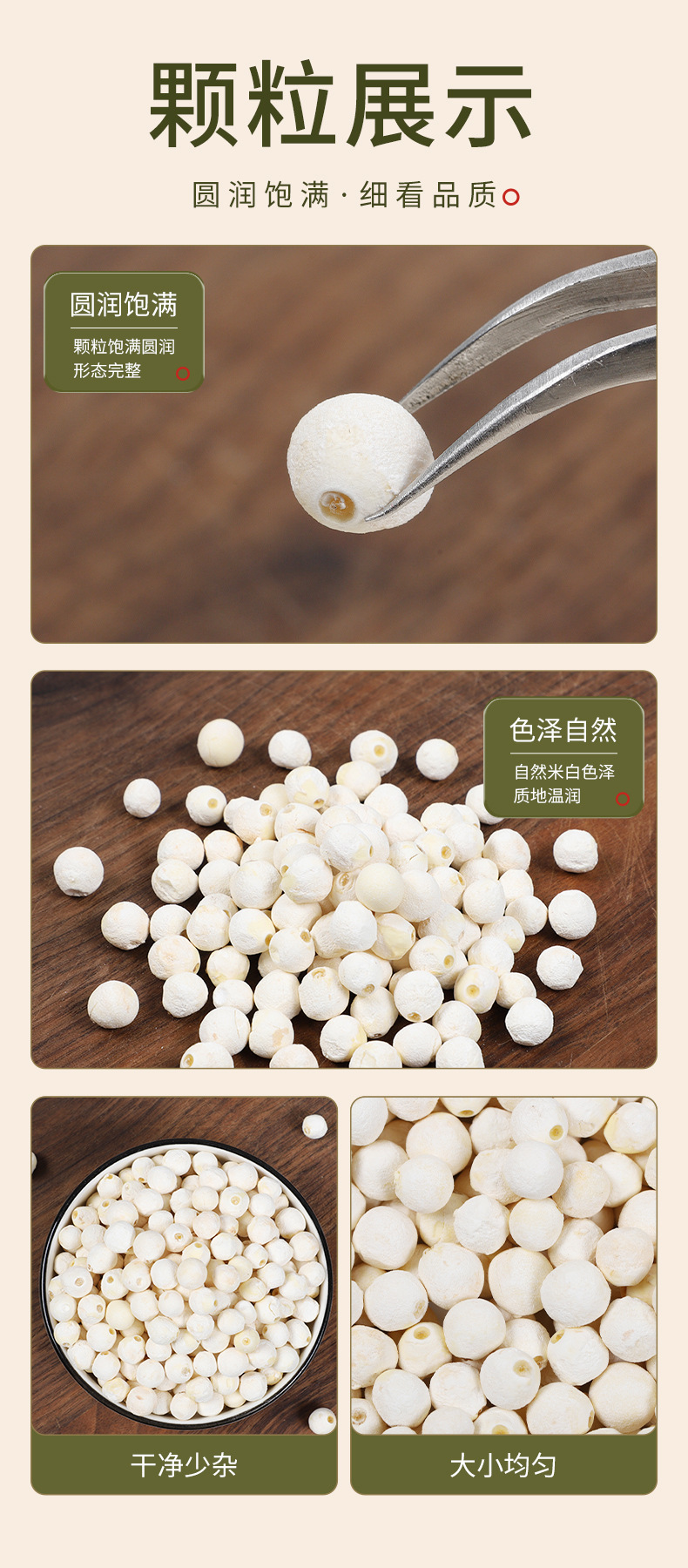Dried Gorgon Fruit Seeds Qian Shi 500g Suzhou Euryale Seeds for Soup and Congee quality and texture