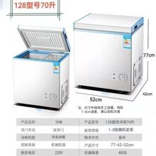 容升志高电冰柜家用小型转换雪糕柜迷你冷藏冷冻卧式节能大容量