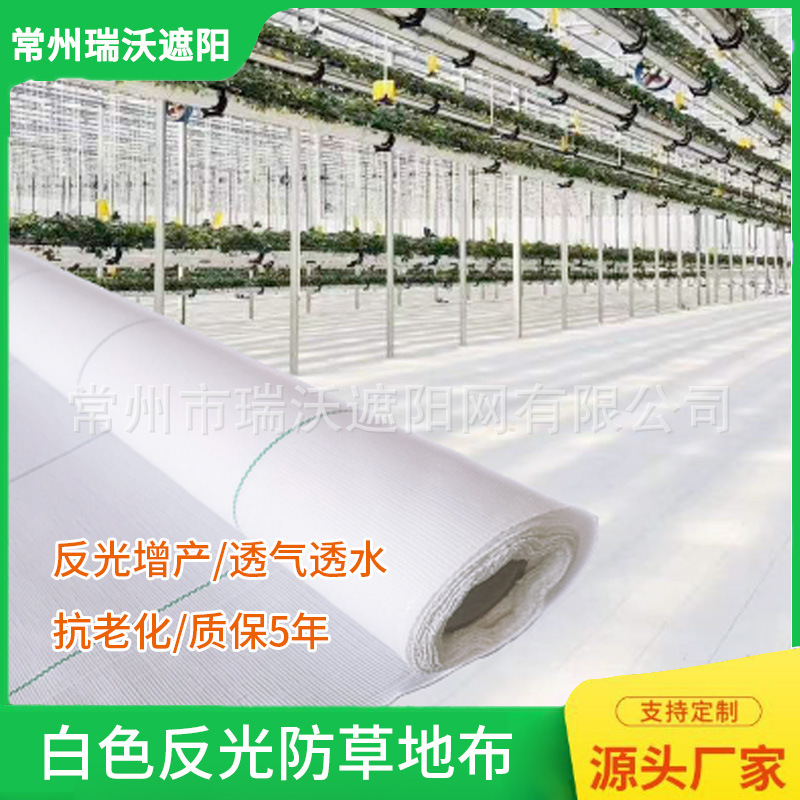 白色园艺地布反光抗老化除草布果园温室大棚透气盖草布防虫遮阳