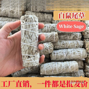 ����β����������White Sage������޹�ȃ������g��Ѫ��ѩ��