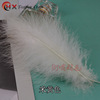 Velvet Xin Yang Mao Jiang tea, accessory, clothing, feather stuffing, wholesale