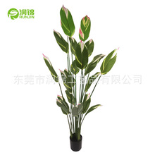 GֲЦBͿ͏dЦԸ߶p˽