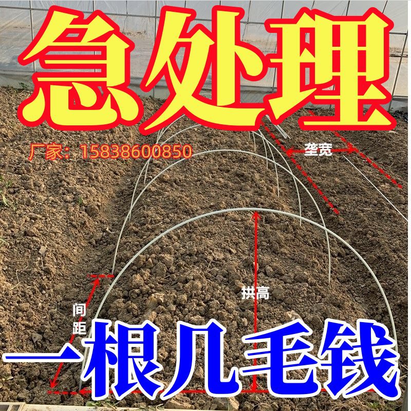 新型拱棚支架地膜防虫大棚高强杆子2米4弓条拱形棚架菜棚温室架杆