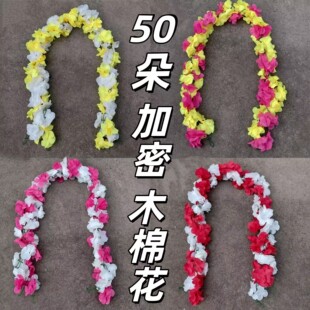 ��������50��ľ�޻��ٻ����������Ĺ�ω�����Ĺ���������������