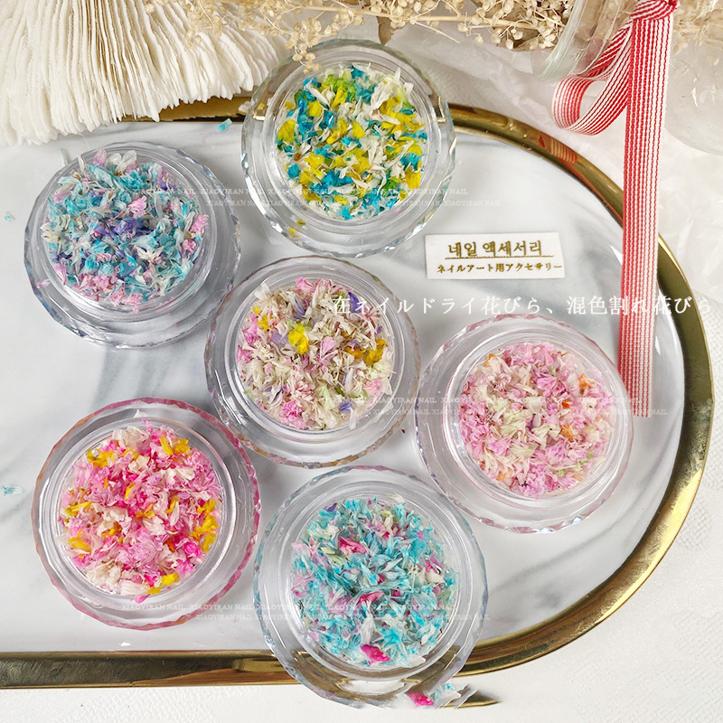 美甲干花饰品网红款 ins同款多混合小干花2025年新款花花植物批发