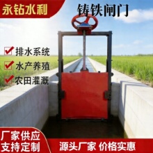 手电两用机闸一体式铸铁镶铜闸门 PZJY 铸铁镶铜双向止水河道闸门