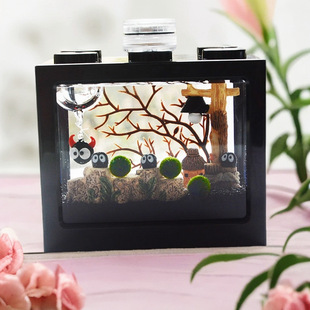 ���������B��DIY΢���^ƿˮ�����儓������ֲ�����Թ��նY��