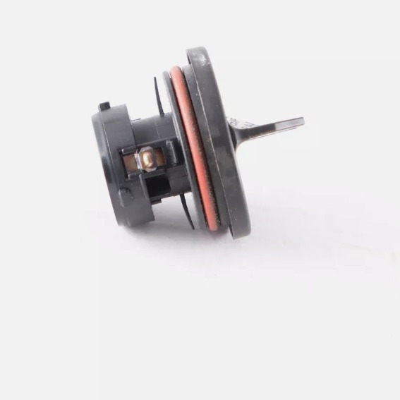 2024-05-31 11:05:44.jpg