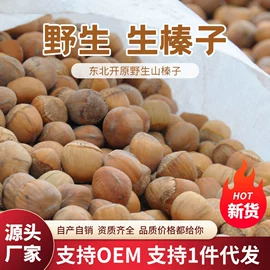 榛子;其他方便食品;干果生货