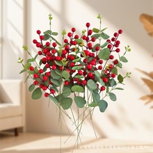 �羳�t���lؔ�����汱��������t�{���Ҿ��b[���������Ҿ��b��