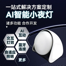 功能枕;娃娃玩具配件;智能语音设备