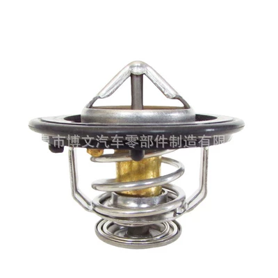 Thermostat 19300Pm3004, Thermostat