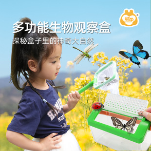 Stubborn insect observation box specimen storage feeding display breeding children outdoor toys exploration capture adventure Green
