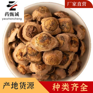 ������ș�����l ���x�Ƀ��o�s�| ��؛ �ɴ��l Դ�^���S ����r��