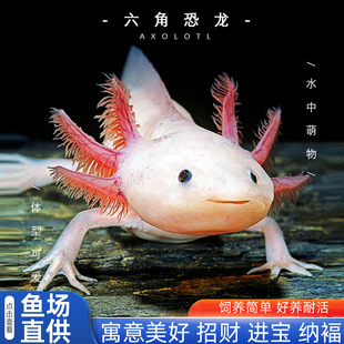 ���ǿ����~һ��һĸ�W�t������ˮ��ˮ�~�^�p�~���B����ϔ󢌙���~