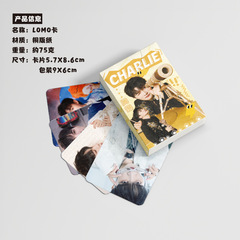 Zhoushao Mini Card Boxed 50 Pcs 57x86mm Celebrity Laser Card Postcards Lomo Cards Wholesale