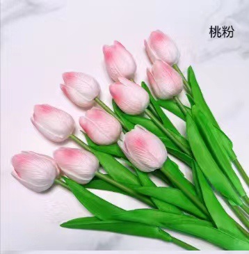 57ac6a802284f510b9c259d8dd2fa2