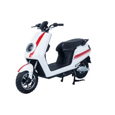 Motorcycles for Overseas Export, Elektrikli motosikletlər