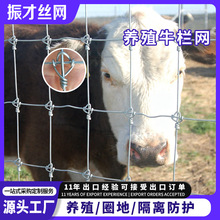 养鹿固定环扣草原封山养殖热镀锌铁丝牛栏网大孔隔离钢丝围栏网