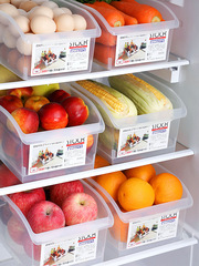 ZT1029 Drawer Refrigerator Food Box Kitchen Fruit and Vegetable Egg Box Refrigerated Preservation Food Grade Storage Box