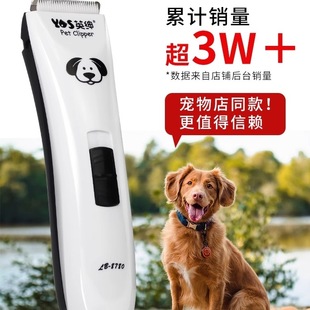 Ӣ��������Ƽ�������ë��؈�����_ë�������I̩�����ӹ�ë�޼���