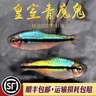 ������ħ����~�Ꭷ�~�ݸ�Ⱥ�θ߶������߲�ħ���~����ye���~���w