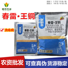 亿嘉垄田丰-50%春雷·王铜-可湿性粉剂 柑橘树春雷霉素王铜