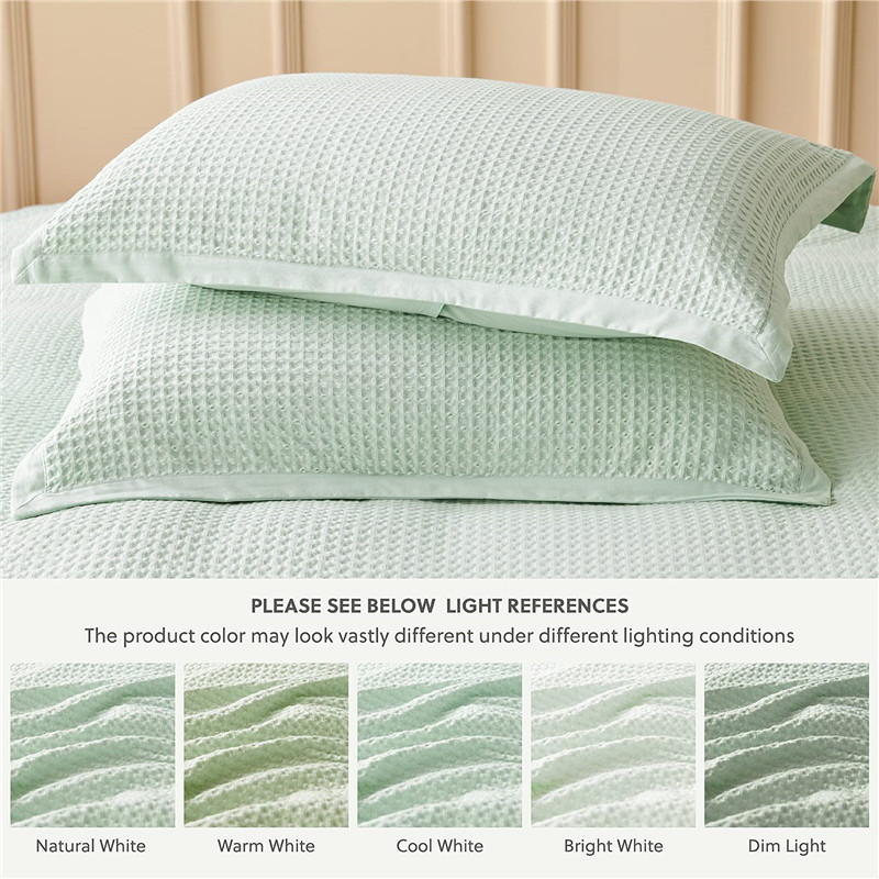 两个 绿色-04.jpg