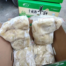 冷冻熟羊肚 十成熟羊肚 熟羊毛肚 羊杂碎羊下水饭店餐饮食材
