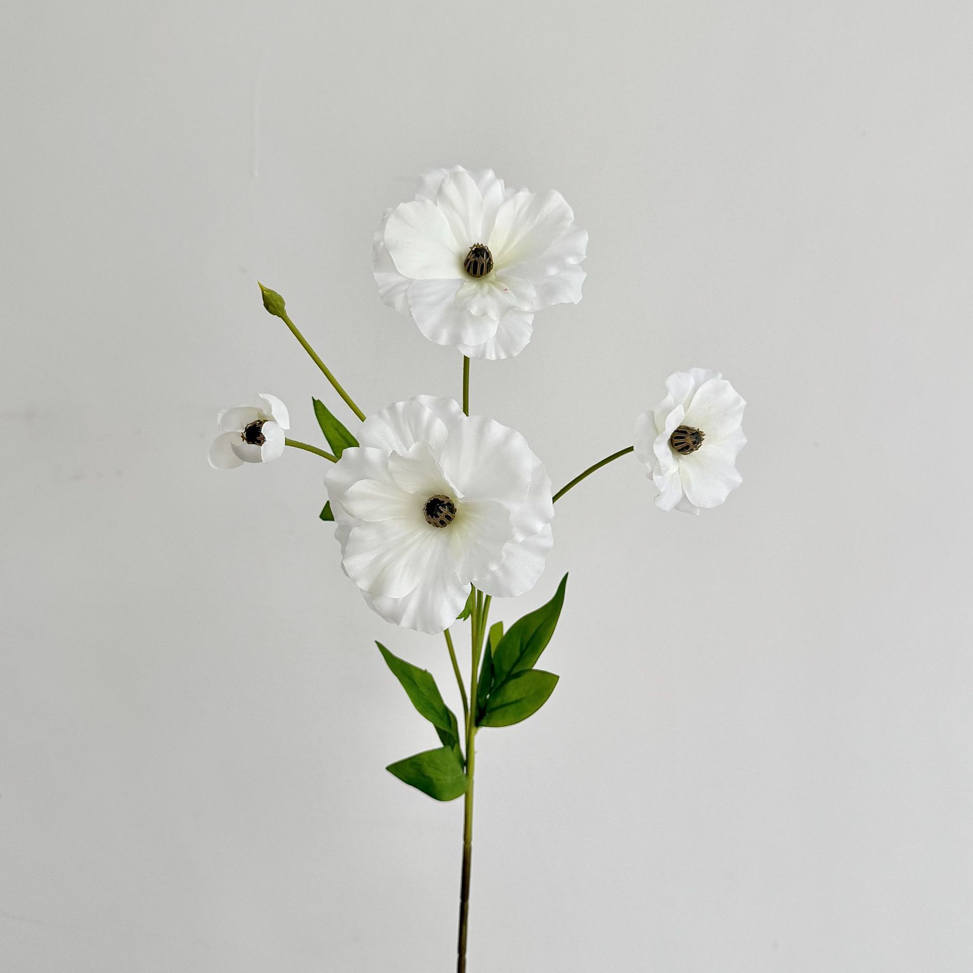 하얀색