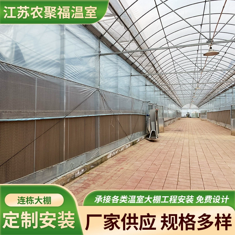 Проект монтажа многопролетной теплицы для выращивания фруктов и овощей, интегрированная тепличная конструкция, многопролетная теплица с пленочным покрытием.