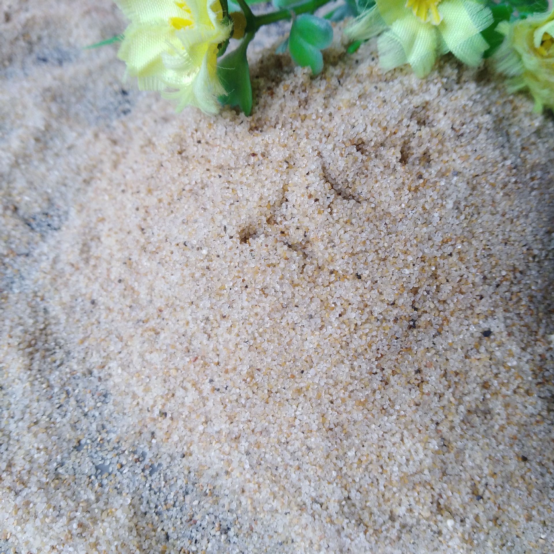 30-50目圆粒石英沙沙坑细沙儿童海沙现别墅装饰白沙