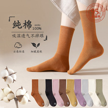 �m��Ů����o�Ǽ�ɫ���L��ů͸�������ߏ���Ͳ�m�����������m��