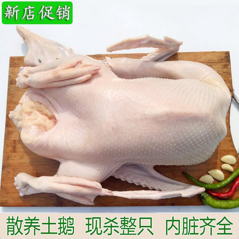 undefined5 10 fresh Farm Pension Youth Goose Manufactor Cross borderundefined