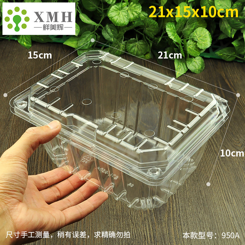 加厚一次性葡萄水果盒巨峰包装盒高硬度多用途塑料果蔬打包盒|undefined