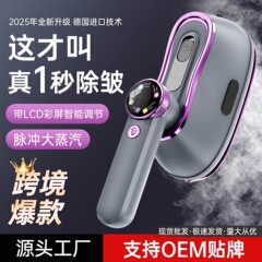 国境を越えた新型デジタル表示ハンディアイロン携帯型アイロン機家庭用アイロン服蒸気アイロン