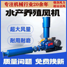 三叶罗茨风机生活污水医疗废水专用125型380V罗茨鼓风机