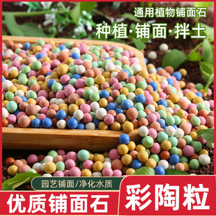 ��ɫ�����w���������|�׶���I�B��������ˮ���B��͸�����ʯ�^