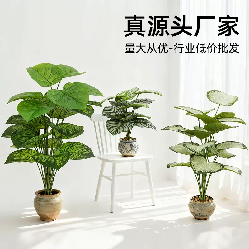 哇噢北欧风桌摆盆栽批发室内装饰花卉绿植摆件落地盆景仿真绿盆景