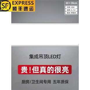 Lei Shiji Integrated Ceiling Light Embedded Led Kitchen Flat Light Bathroom Panel Ceiling Light Kitchen and Bathroom Light 300