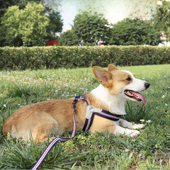 New Cross-border Pet Harness Back Harness Type Dog Leash Cat Breathable Anti-Retraction Pet Supply Wholesale