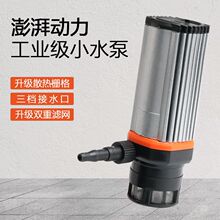 原装精品12v小水泵抽水家用型220V潜水自吸微型全自动高扬程水钻