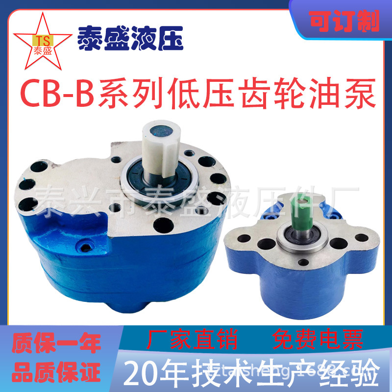 CB-B6/B10/B4/B16/B25/100/20/32/B40/50/B63/B80/B125F齿轮油泵R