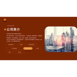 太阳能灯;工矿灯;野营/露营灯