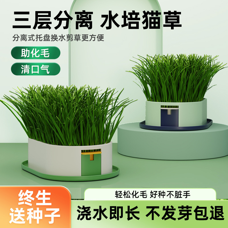 New Cat Grass Potted Plant Lazy Soilless Hydroponic Planting Box Cat Grass Pot Wheat Particle Culture Tray Cup Set Wholesale